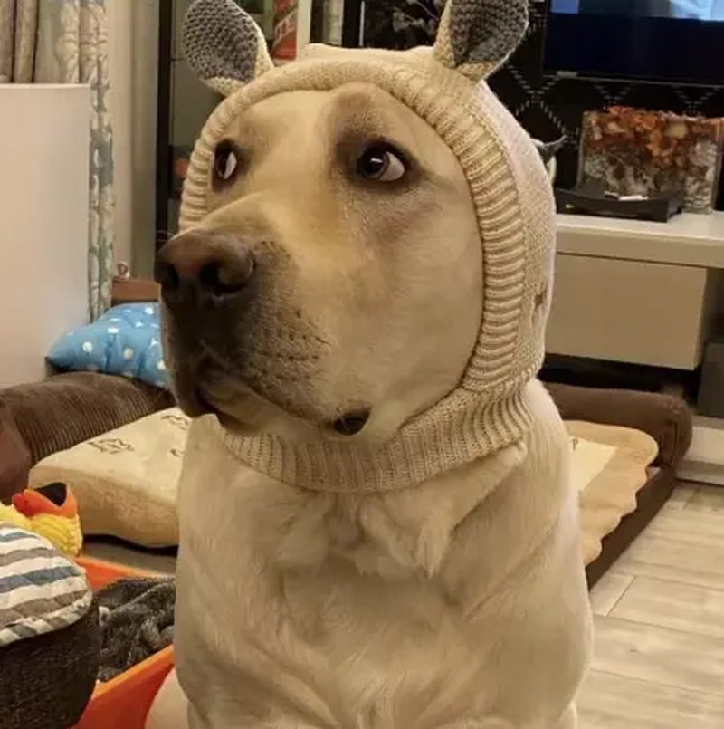 Dog Ear Muffs for Noise Protection and Warmth - Winter Pet Caps for Medium to Large Dogs